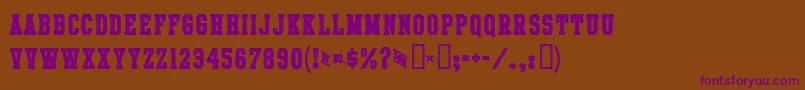 IntramuralBoldJl Font – Purple Fonts on Brown Background