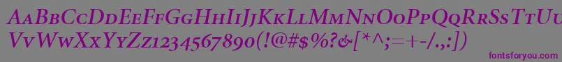Шрифт MinionSemiboldItalicSmallCapsOldstyleFigures – фиолетовые шрифты на сером фоне