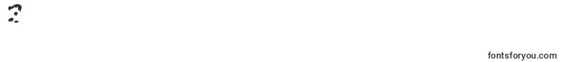 SnowgooseFront Font – Fonts for Digit 3