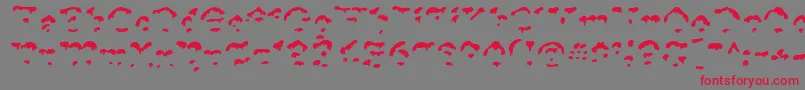 SnowgooseFront Font – Red Fonts on Gray Background