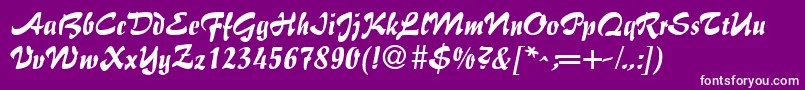 BrushFlairRegular Font – White Fonts on Purple Background