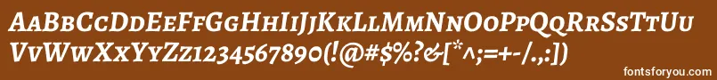 AlegreyascBolditalic Font – White Fonts on Brown Background