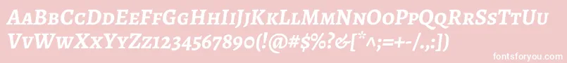 AlegreyascBolditalic Font – White Fonts on Pink Background