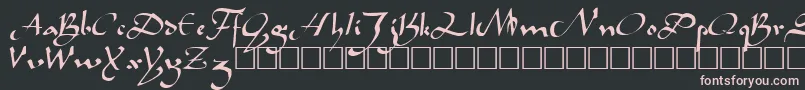 CaliphRegular Font – Pink Fonts on Black Background