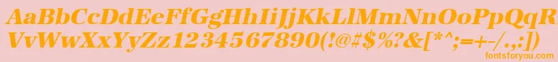 UrwantiquatextbolOblique Font – Orange Fonts on Pink Background