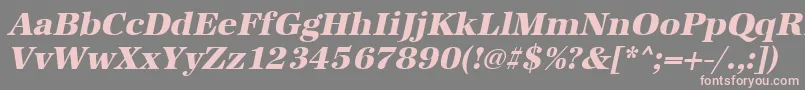 UrwantiquatextbolOblique Font – Pink Fonts on Gray Background