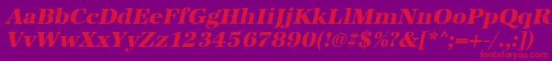 UrwantiquatextbolOblique-Schriftart – Rote Schriften auf violettem Hintergrund