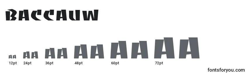 Baccauw Font Sizes