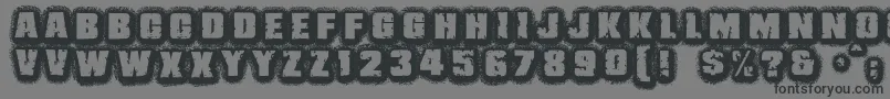 フォントJmhBelicosa – 黒い文字の灰色の背景