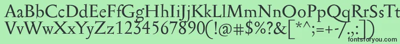 Serapioniitxn Font – Black Fonts on Green Background