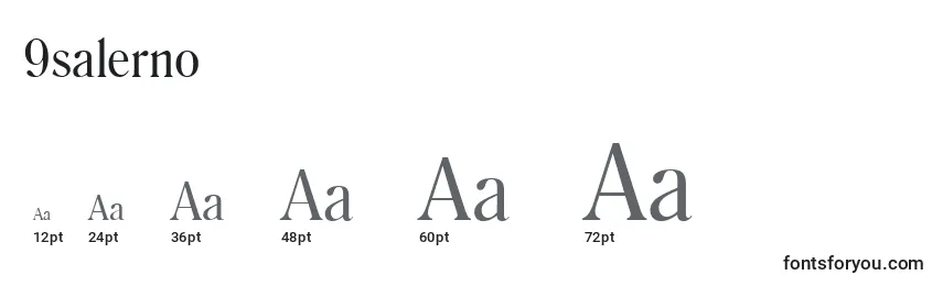 9salerno Font Sizes