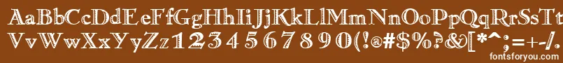 RamonaRegular Font – White Fonts on Brown Background