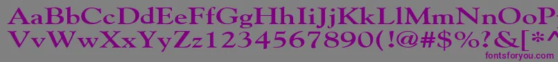 GildebroadBold Font – Purple Fonts on Gray Background