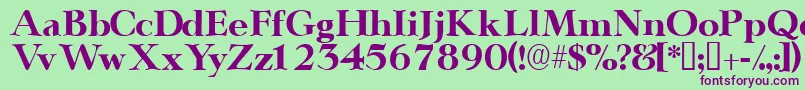 Teronodisplayssk Font – Purple Fonts on Green Background