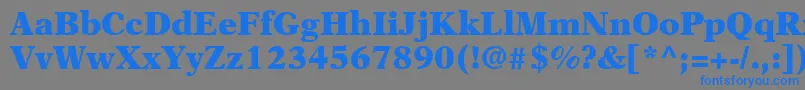 フォントNewAsterLtBlack – 灰色の背景に青い文字