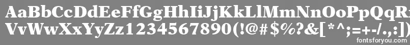 フォントNewAsterLtBlack – 灰色の背景に白い文字