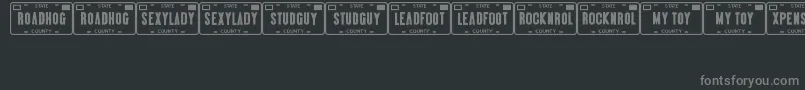 Шрифт VanityPlatesJl – серые шрифты на чёрном фоне