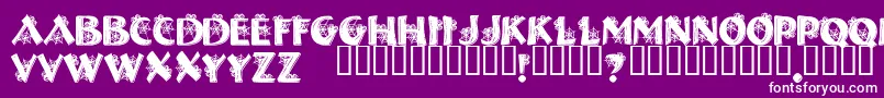 Halls Font – White Fonts on Purple Background