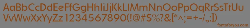 OrnitonslhRegular Font – Brown Fonts on Gray Background
