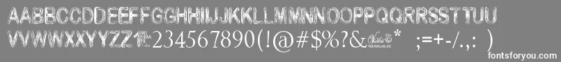 フォントVidkaWoodcraft – 灰色の背景に白い文字