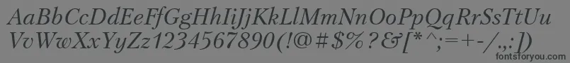 PetersburgItalicCyrillic Font – Black Fonts on Gray Background