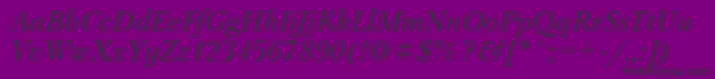 PetersburgItalicCyrillic Font – Black Fonts on Purple Background