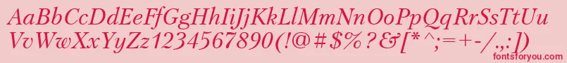 PetersburgItalicCyrillic Font – Red Fonts on Pink Background