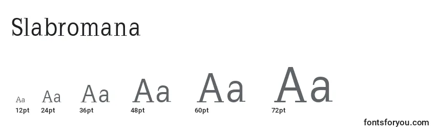 Размеры шрифта Slabromana