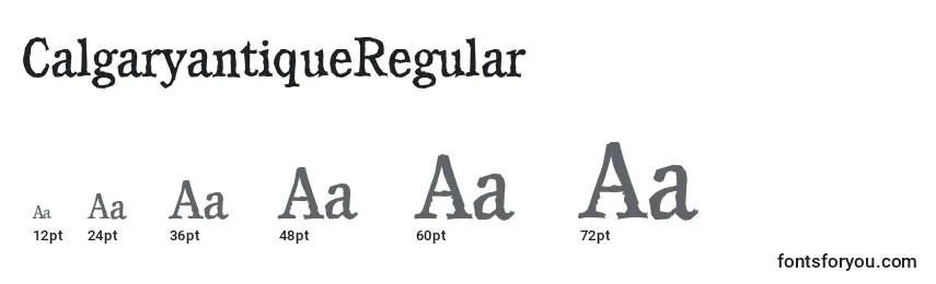 Размеры шрифта CalgaryantiqueRegular