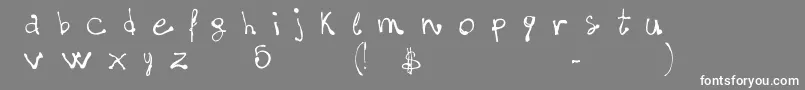 フォントFontsLabdotcom5$Matter – 灰色の背景に白い文字