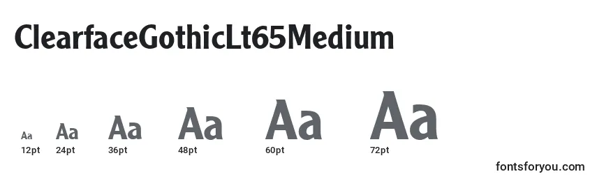ClearfaceGothicLt65Medium Font Sizes