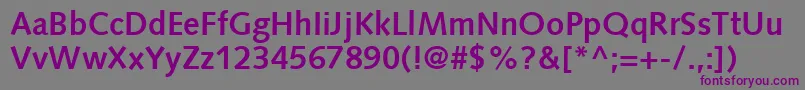 Шрифт SyntaxLtBold – фиолетовые шрифты на сером фоне