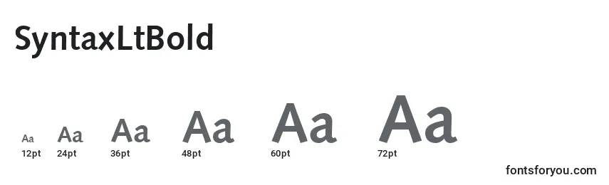 Размеры шрифта SyntaxLtBold