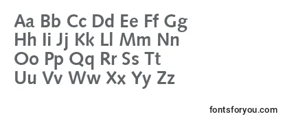 SyntaxLtBold Font