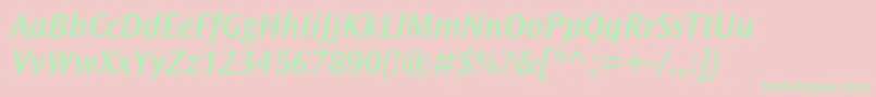 OceansansstdSemiboldita Font – Green Fonts on Pink Background