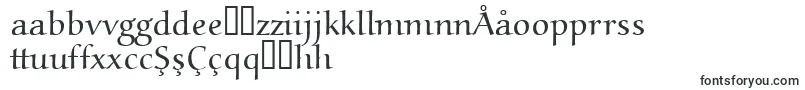 Czcionka Aucoinlight – uzbeckie czcionki