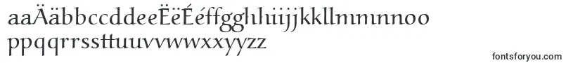 Aucoinlight Font – Macedonian Fonts