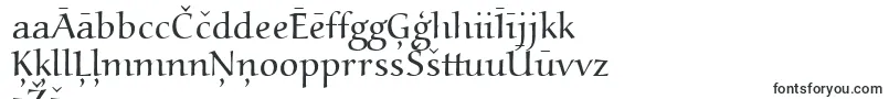 Aucoinlight Font – Latvian Fonts