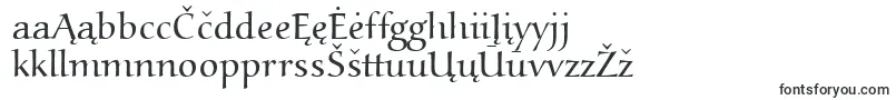 Police Aucoinlight – polices lituaniennes