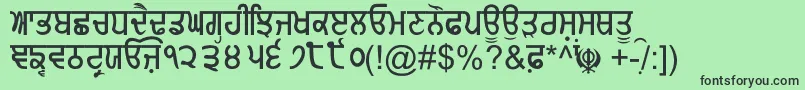 GurmukhiNormal Font – Black Fonts on Green Background