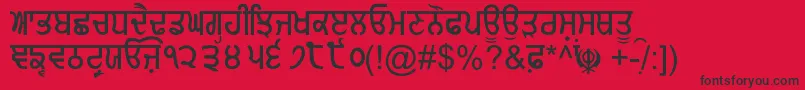 GurmukhiNormal Font – Black Fonts on Red Background