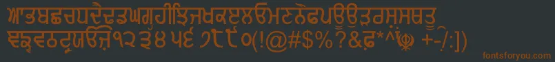 GurmukhiNormal Font – Brown Fonts on Black Background