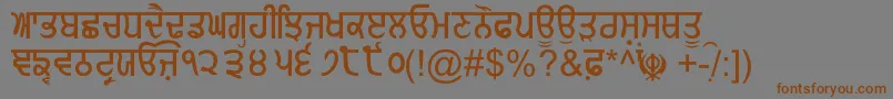 GurmukhiNormal Font – Brown Fonts on Gray Background