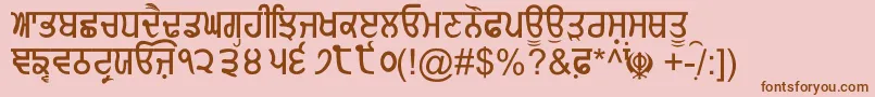 GurmukhiNormal Font – Brown Fonts on Pink Background