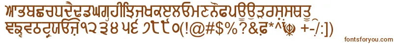 GurmukhiNormal Font – Brown Fonts on White Background