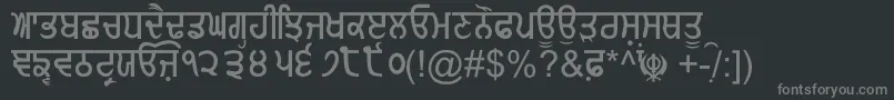 GurmukhiNormal Font – Gray Fonts on Black Background