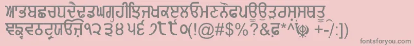 GurmukhiNormal-Schriftart – Graue Schriften auf rosa Hintergrund