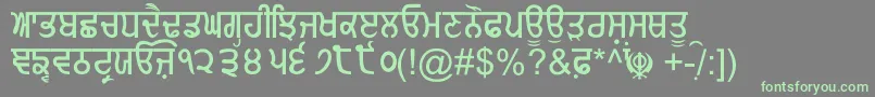 GurmukhiNormal Font – Green Fonts on Gray Background