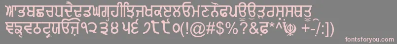 GurmukhiNormal Font – Pink Fonts on Gray Background