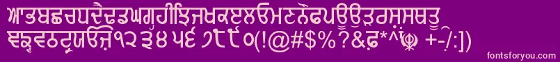 GurmukhiNormal Font – Pink Fonts on Purple Background